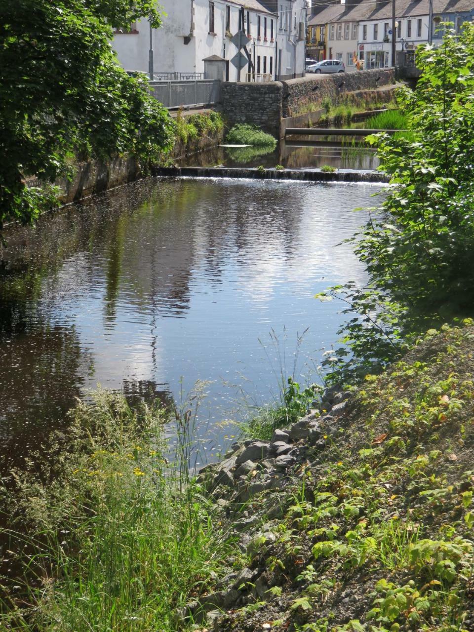 Riverside Guesthouse Charlestown Esterno foto